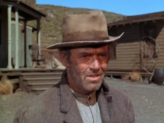 stranger on the run (western. 1967)