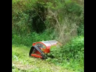 robot-mower