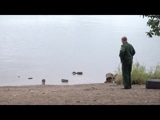 hunting for waterfowl and upland game opened in vyborgsky district